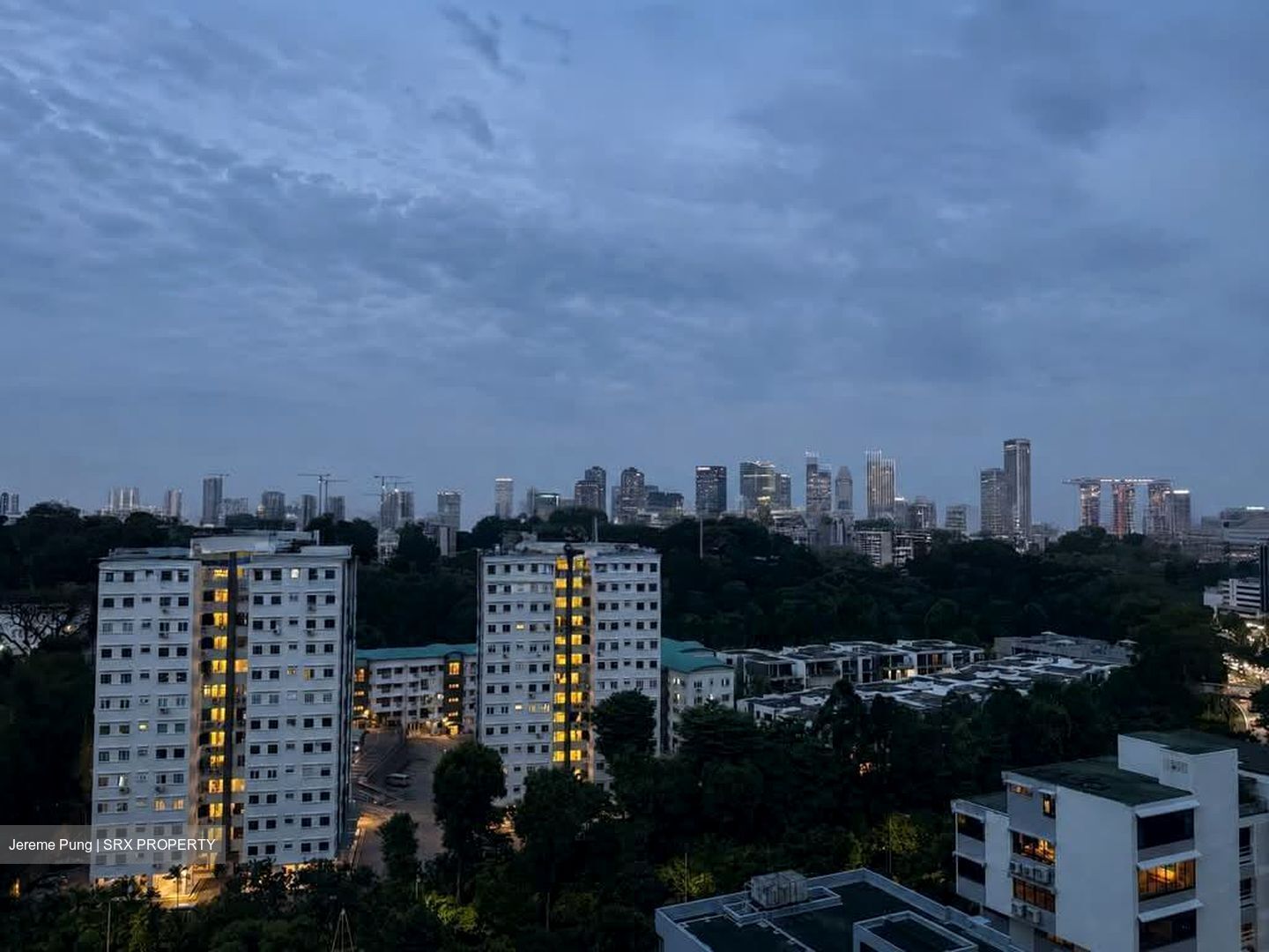 RESIDENCES AT EMERALD HILL (D9), Apartment #595853121